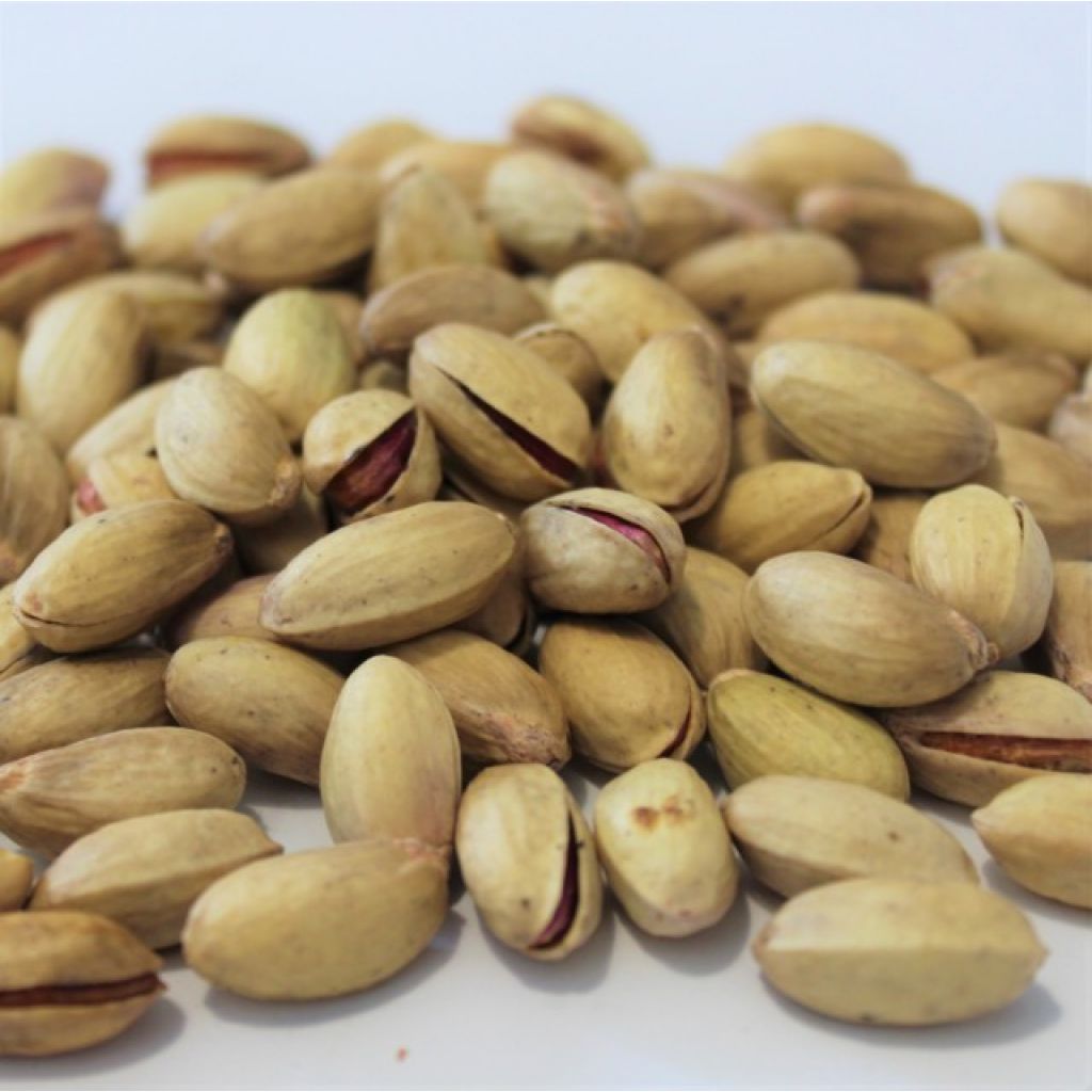 Pistacchio di Sicilia (origine Bronte) in guscio - 1Kg