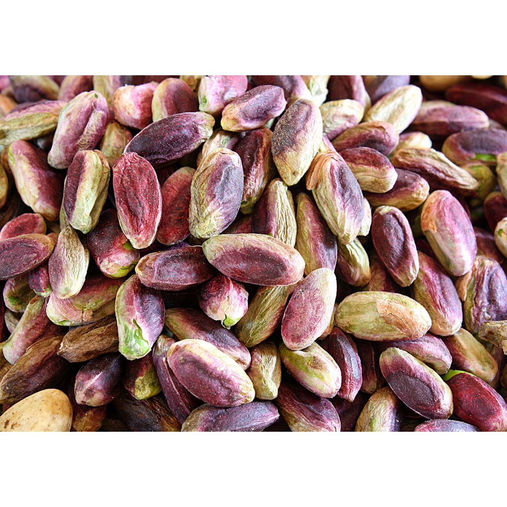 Pistacchio di Sicilia (origine Bronte) sgusciato - 1Kg
