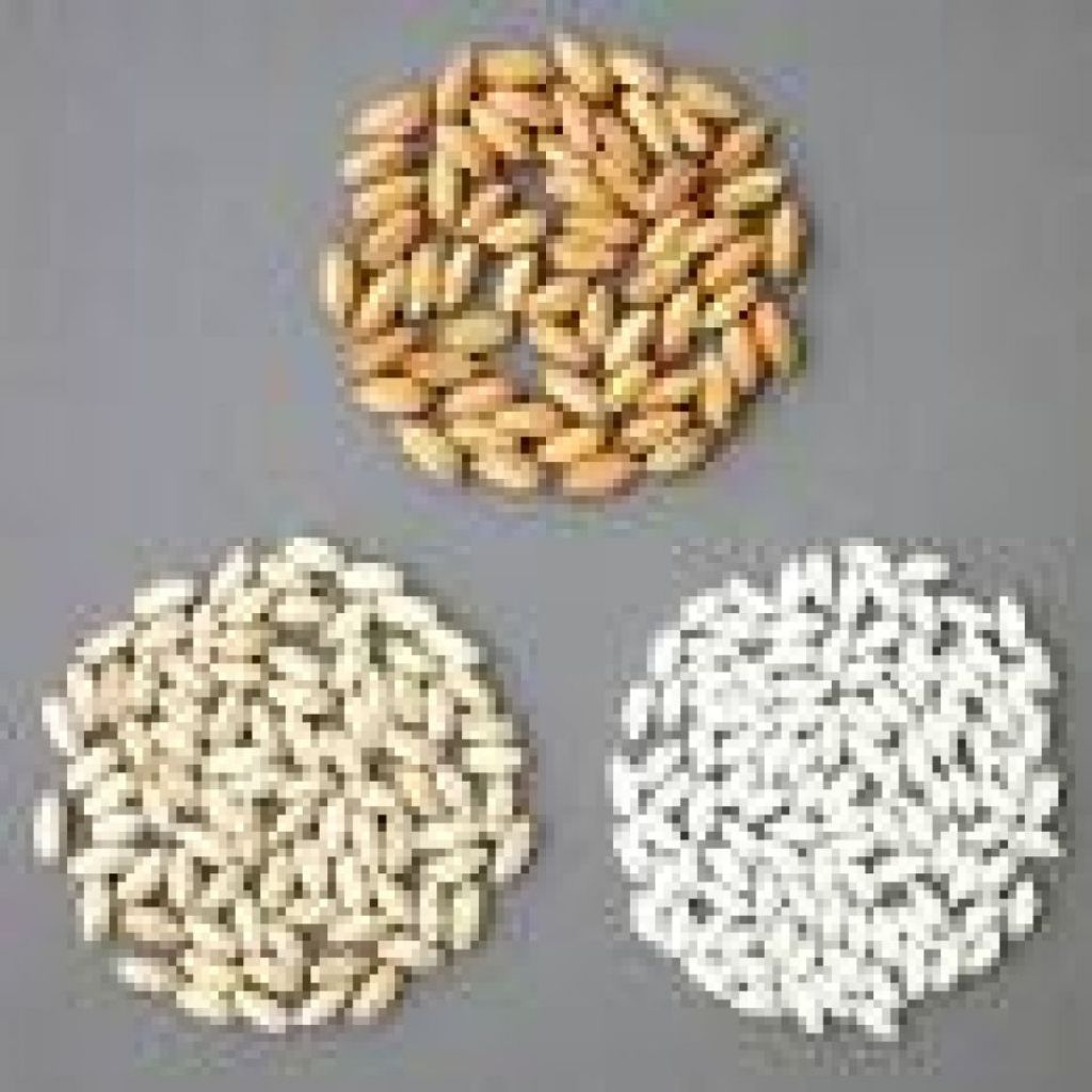 Riso Carnaroli semintegrale - 1Kg