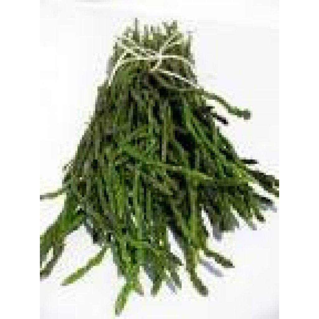 Asparagi sfusi medio-piccoli