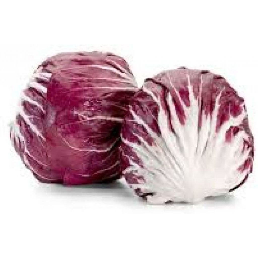 Radicchio rosso tondo