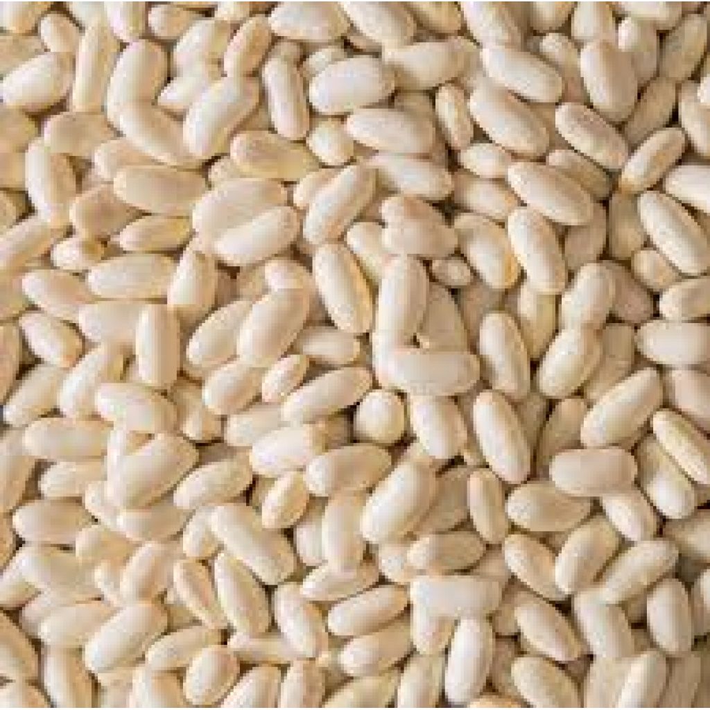 FAGIOLI CANNELLINI SGRANATI