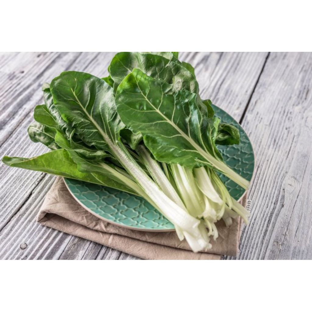 FOGLIE DI BIETA BIANCA