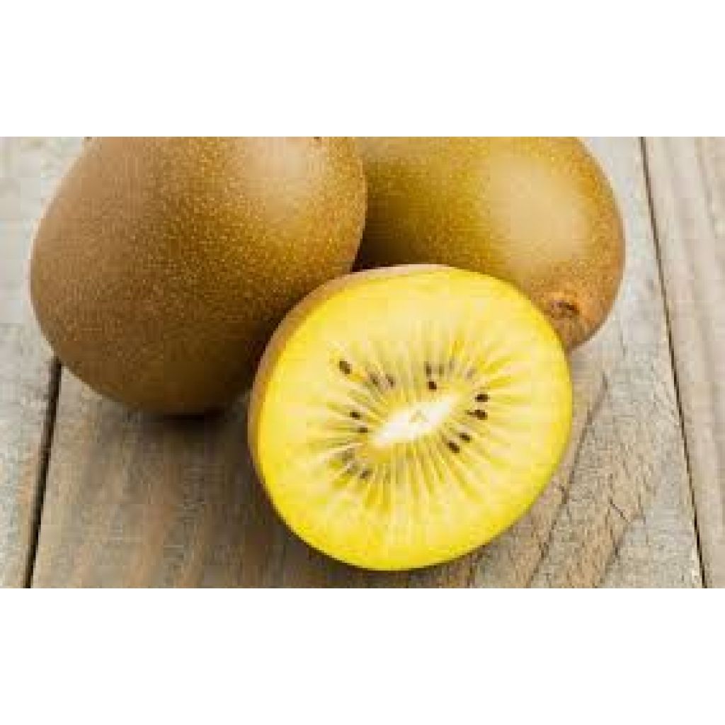 KIWI GIALLO