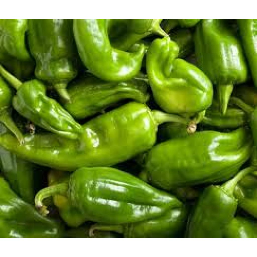 PEPERONI VERDI
