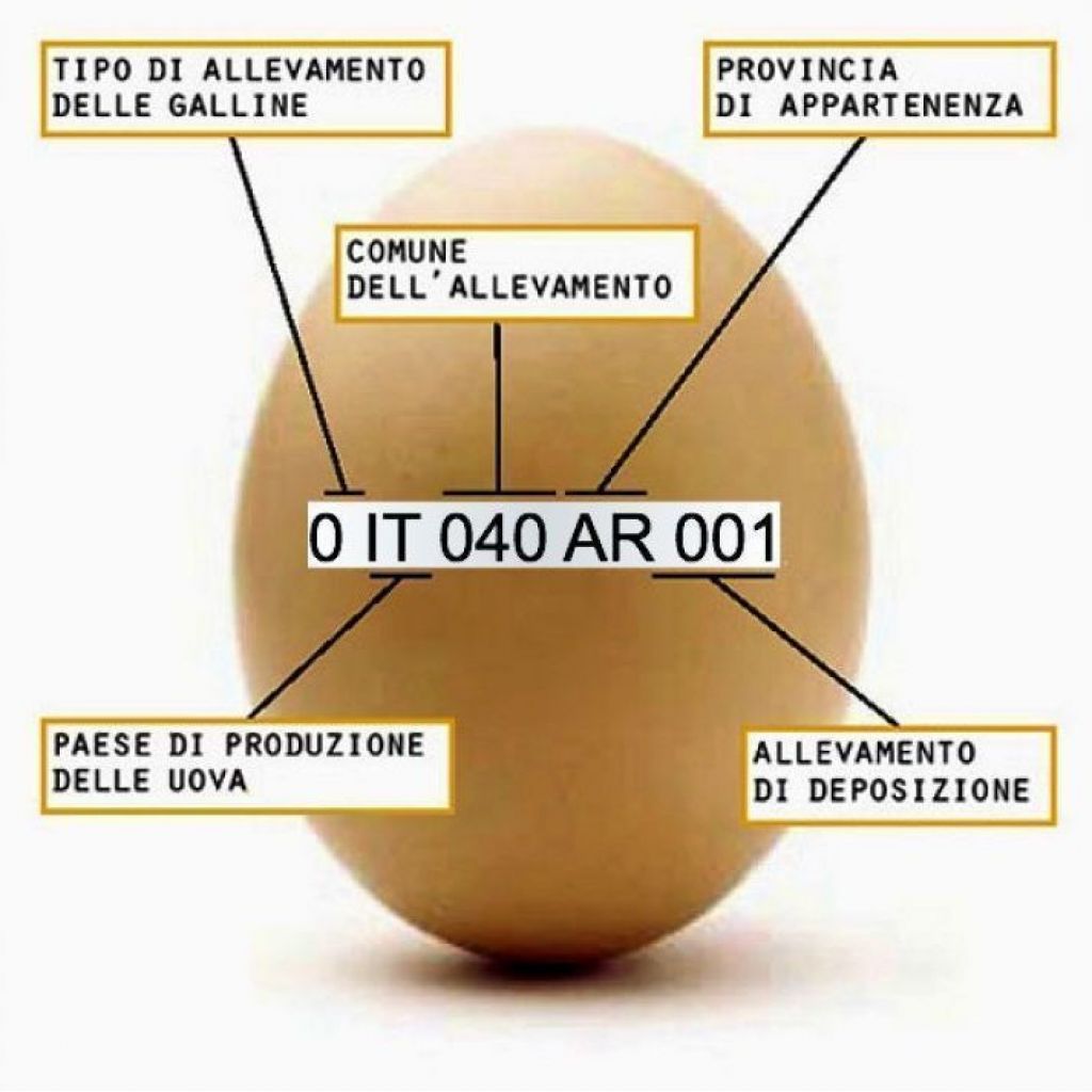 UOVA BIOLOGICHE CONF. DA 6