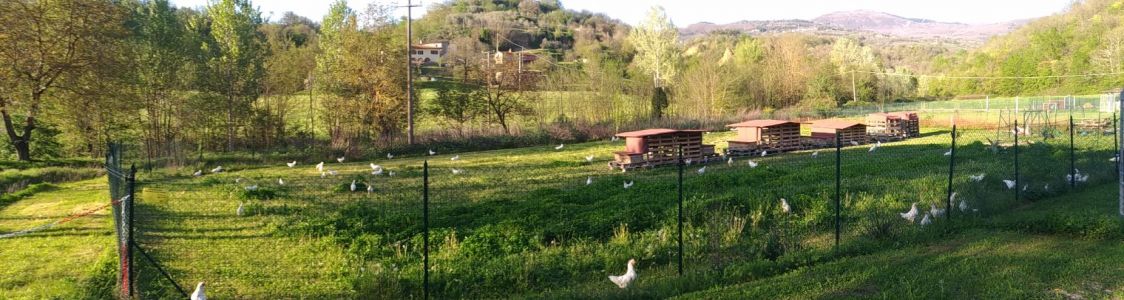 Az. Agr. Stefano Braccini