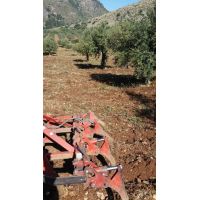 30441813_10211258776494125_7787442973767106560_n