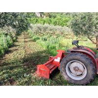 e6790a5b369f4aa089aa42d330a7dc47