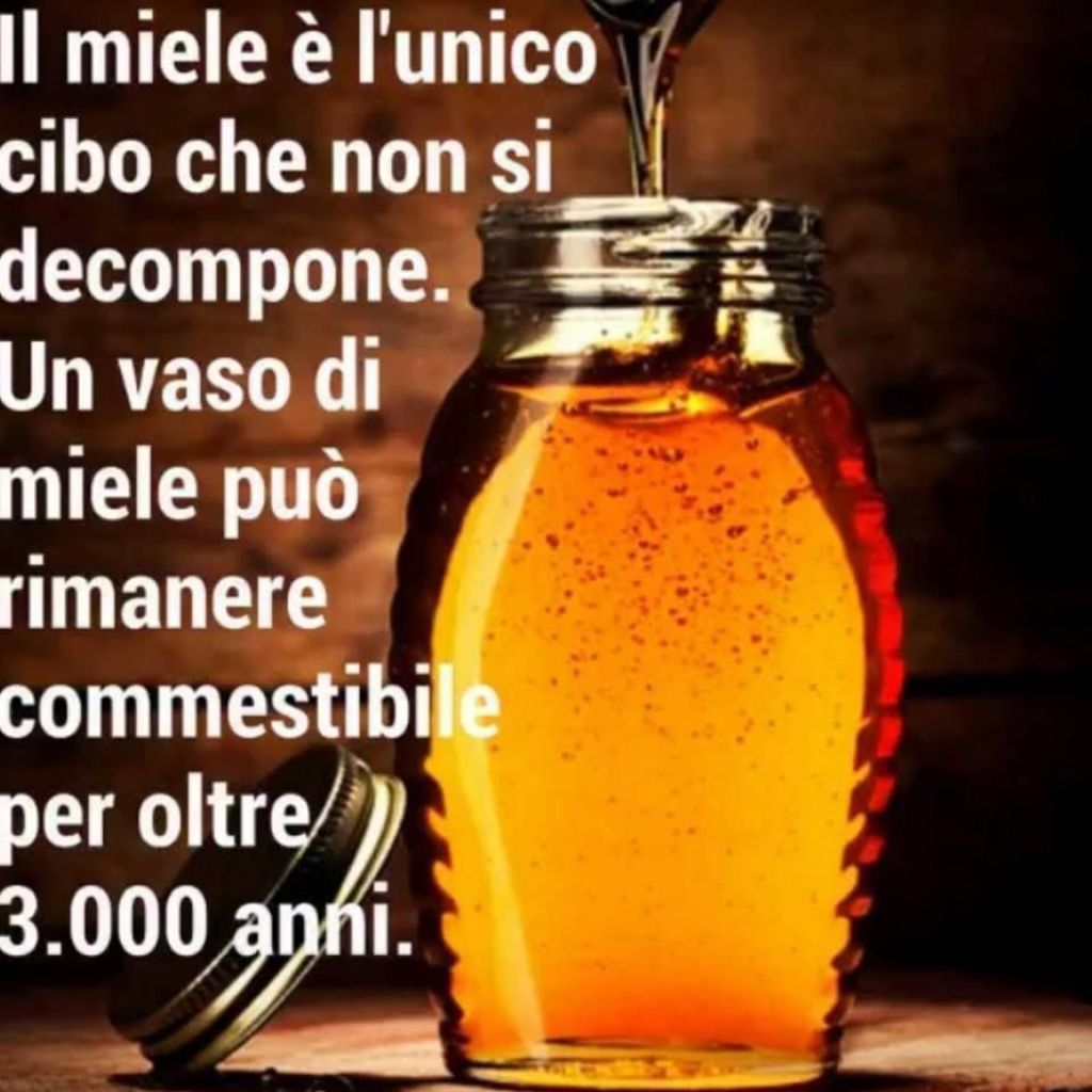 Vaso da Kg di miele di castagno