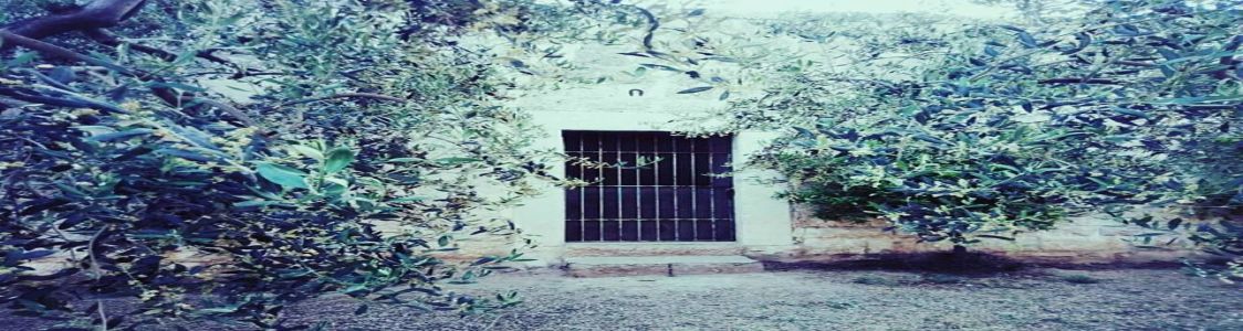 Azienda Agricola Valenziano