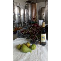 whatsapp image 20170909 at 17.26.05 2