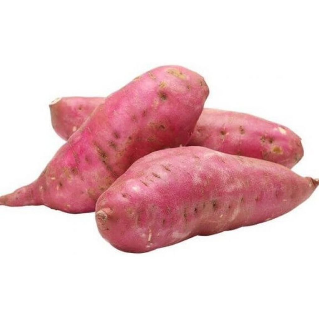 Batata Arancione Bio
