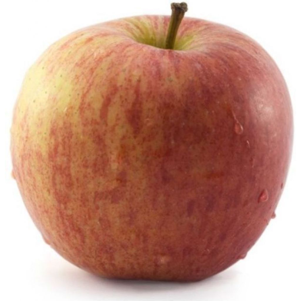 Mele Fuji Bio Produzione Propria