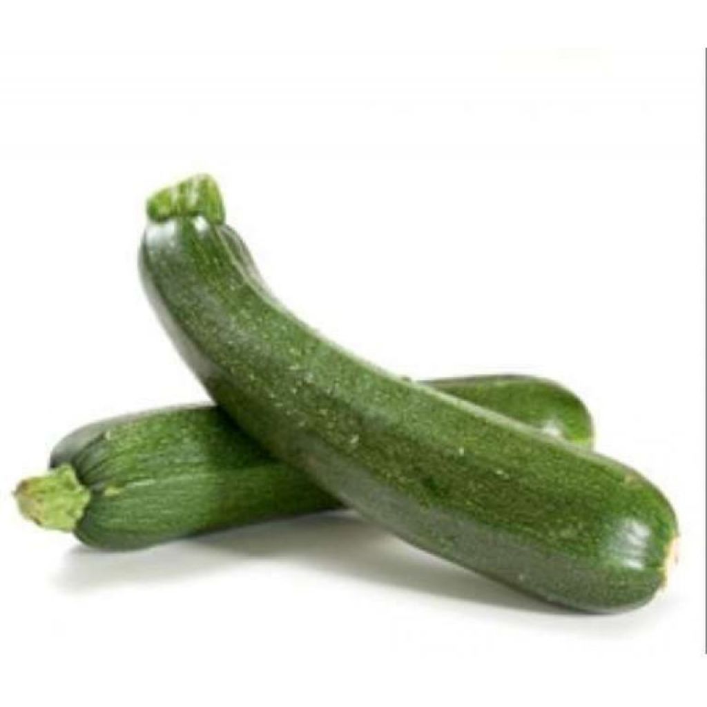 Zucchine Bio