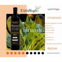 116306185_2770450139857523_2940744446615975327_o