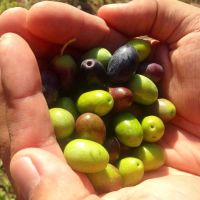 20fb2d60120544bf9b5cc56502023d16