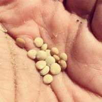 71944431_2949730195252856_5597646381708738560_o