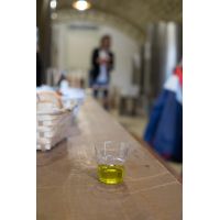 whatsapp image 20190629 at 09.07.54