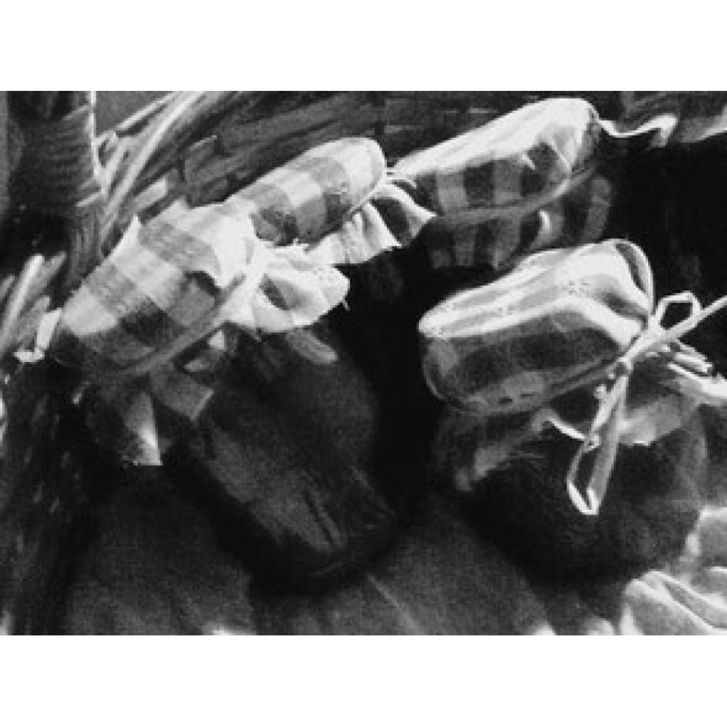 DADO VEGETALE ( DISPONIBILE DA MAGGIO A OTTOBRE)