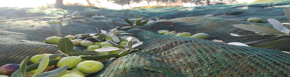 Azienda Agricola Polino