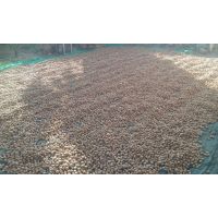 foto 090918 17 12 41