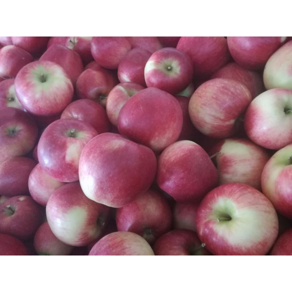 Mele BIO variet&agrave; Brina - sacchetto 10 Kg