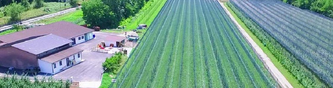 Azienda agricola Specogna Giuseppe