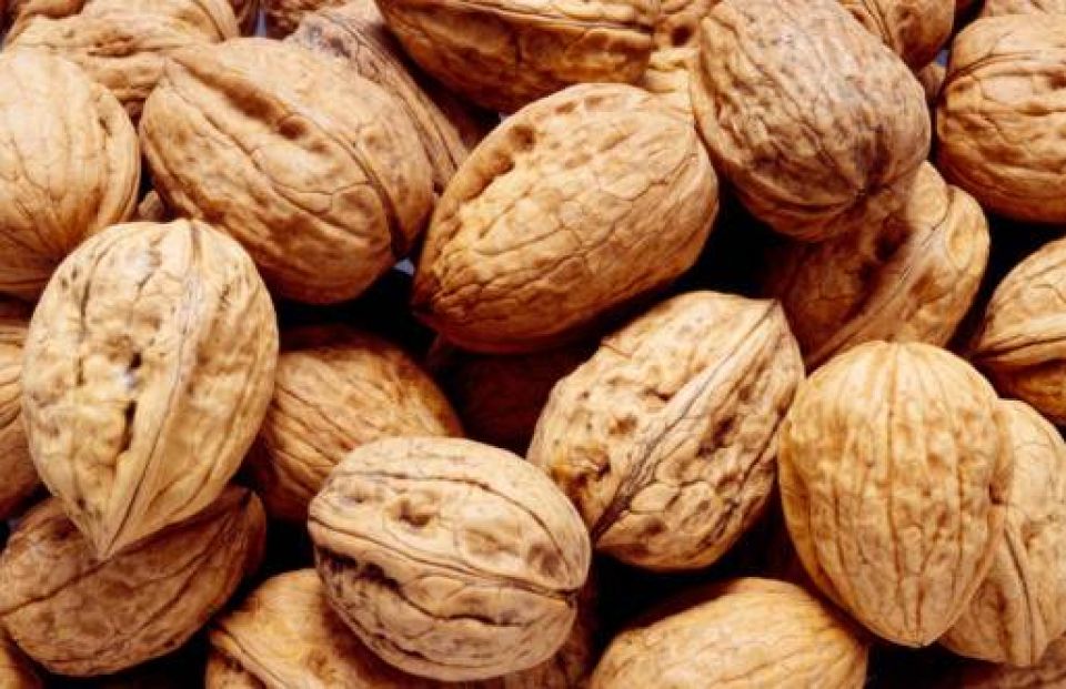 noci bio variet&agrave; Sorrento