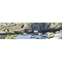 24301477_1491731110943809_553184373850989594_n