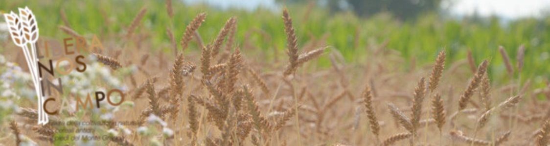 Libera Nos In Campo