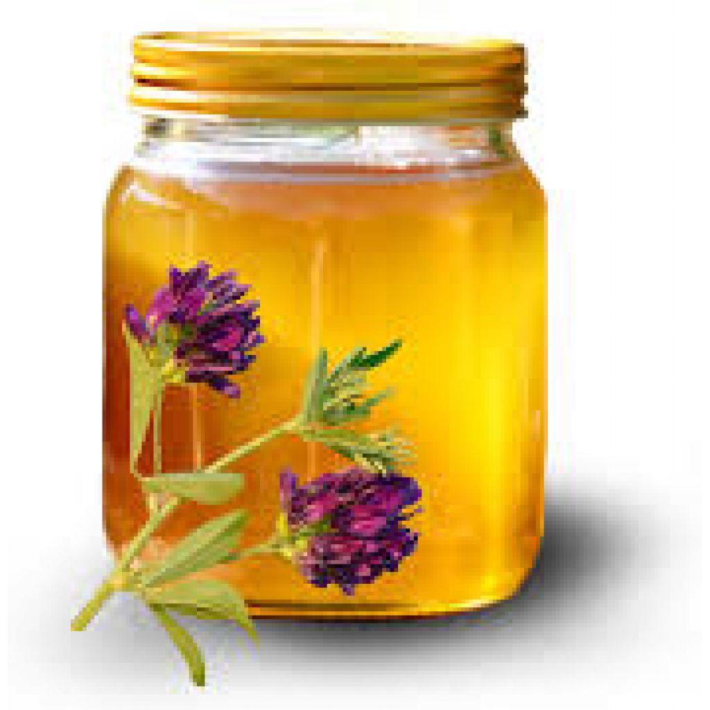 Miele di erba medica - Vaso da 1 Kg