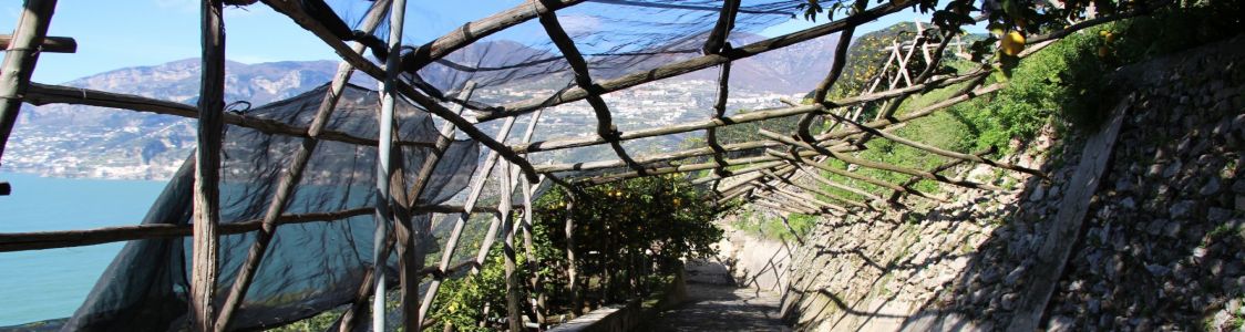 Azienda agricola Villa Scarlato