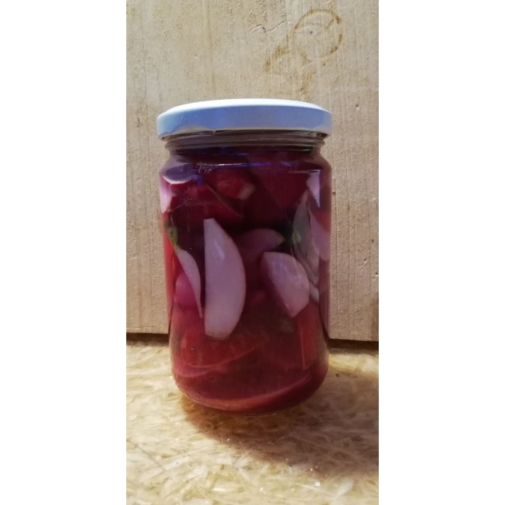 RAPANELLI IN aceto di kombucha