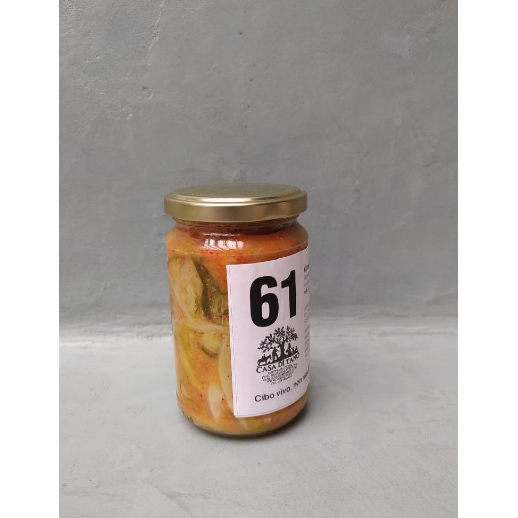65_KIMCHI DI CATALOGNA DI PUNTARELLE