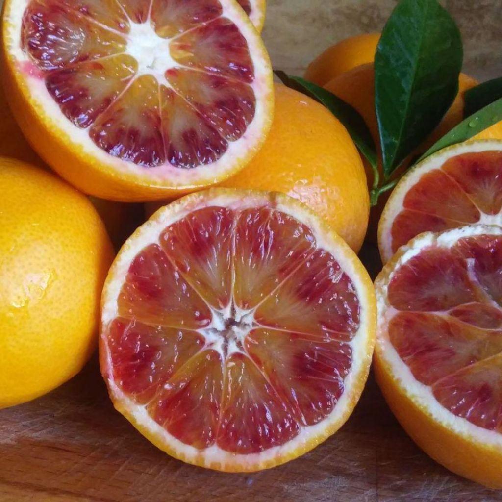 Confezione Arance Tarocco Gallo spremuta - 16Kg