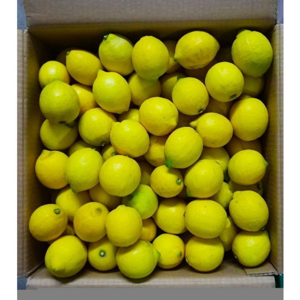 Limoni di Sicilia - 16Kg