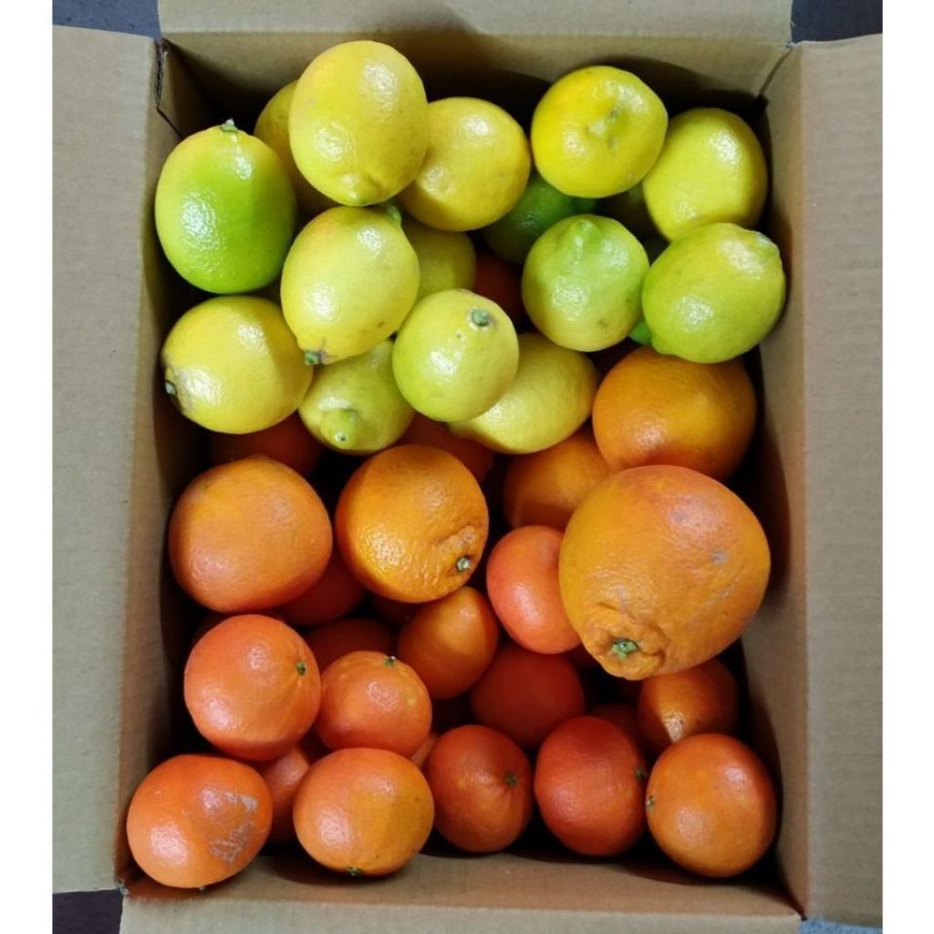 Cesto MIX Agrumi - 16Kg