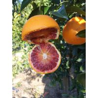 whatsapp image 20190112 at 14.33.011