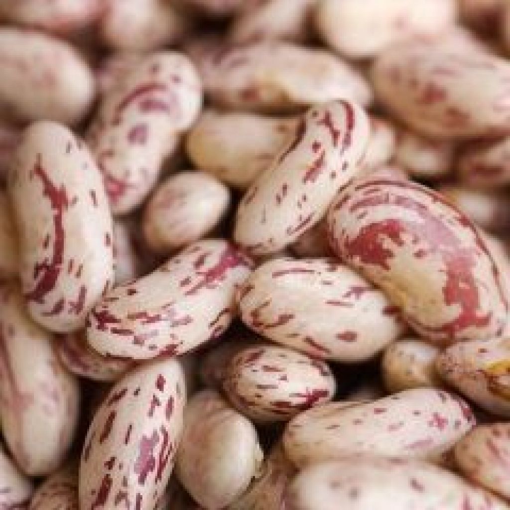 Borlotti beans