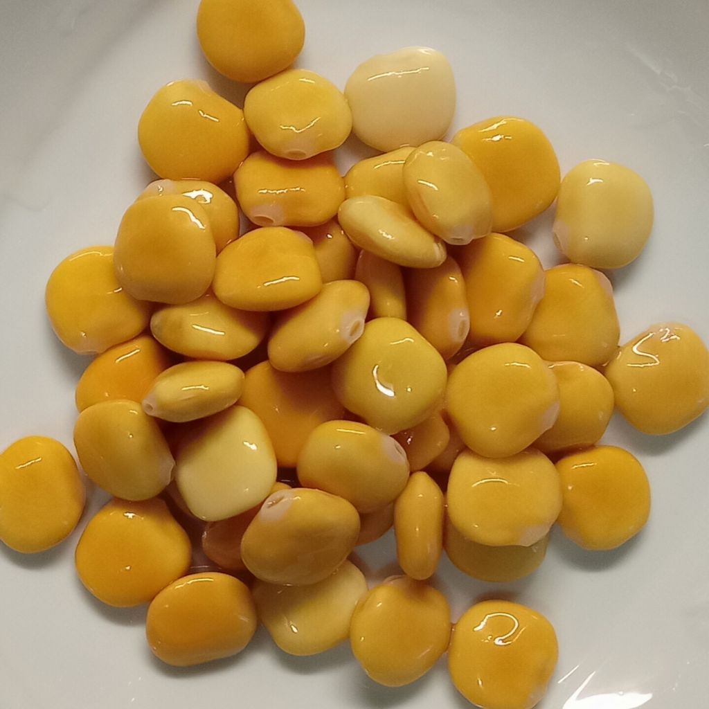 Ready-to-eat pickled lupins vacuum packed 1Kg