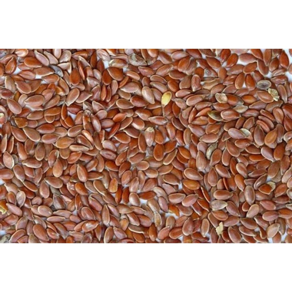 Flax seed