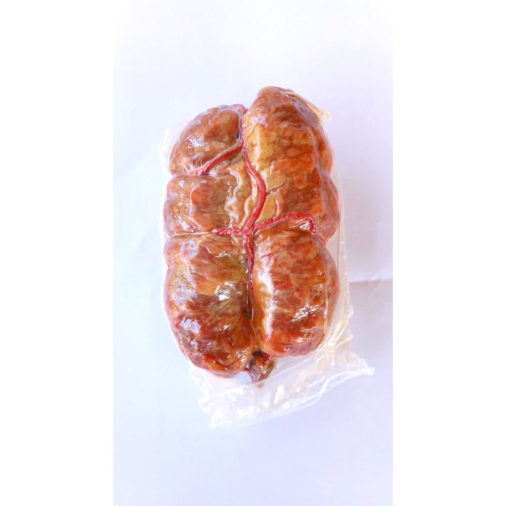 Organic durum wheat semolina pasta Mezze Penne