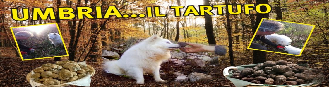 Tordoni Roberto Olio e Tartufi