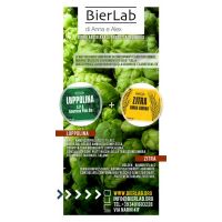 locandina15x30bierlabweb