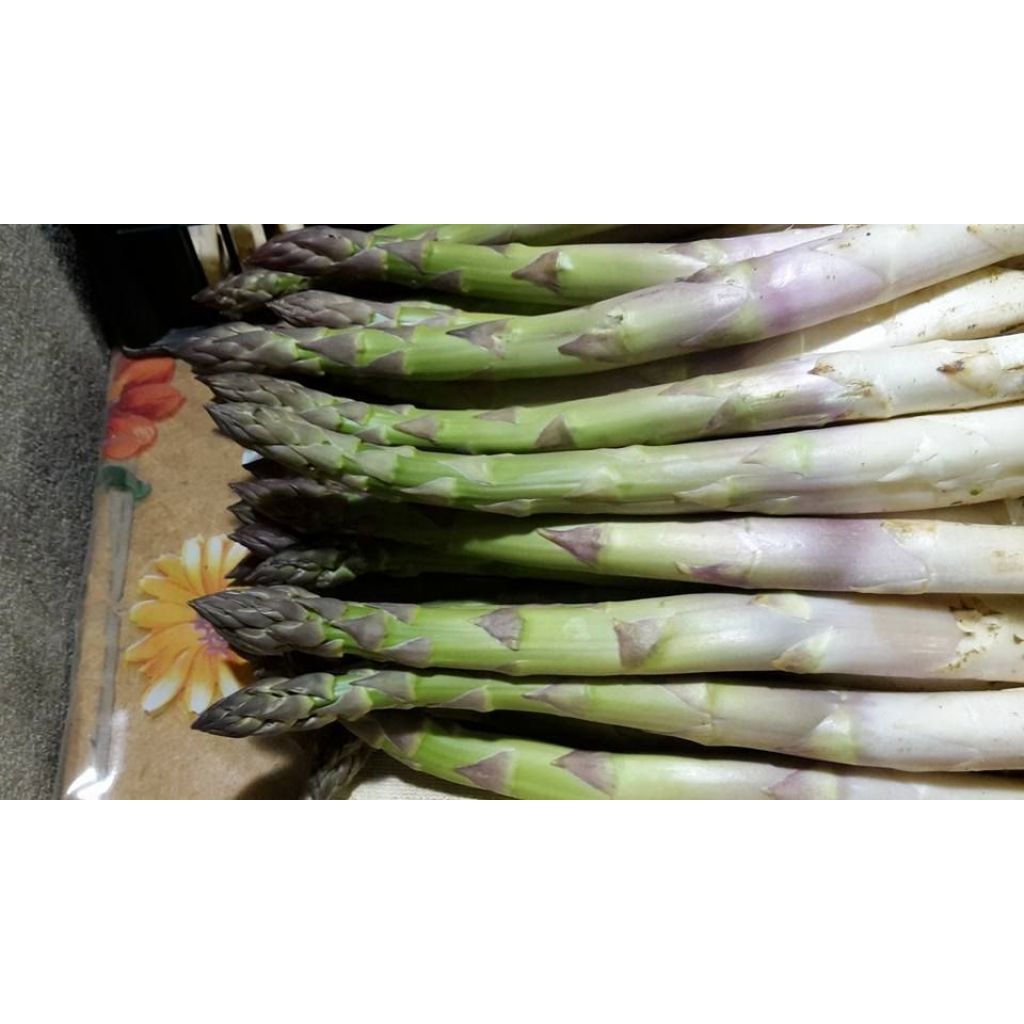 Asparago di Santena sfuso- 1 Kg