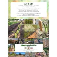 pieghevole_2019_griva