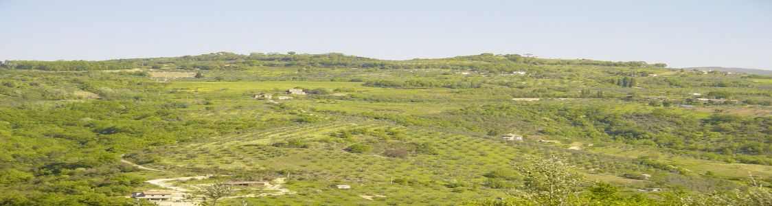 Azienda Agricola Biologica Colle Paradiso