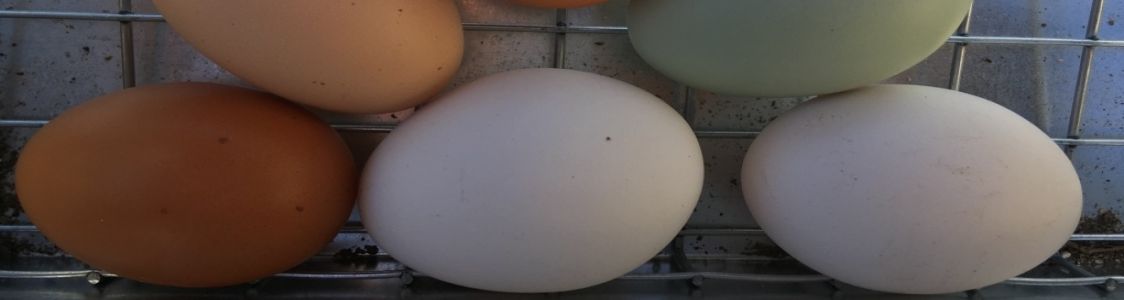 Azienda Agricola Dellai Francesco