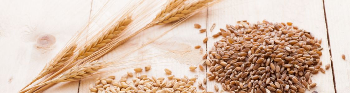 Soc. Agr Giovani Tradizioni Siciliane srls-Mulino Agricolo Etneo